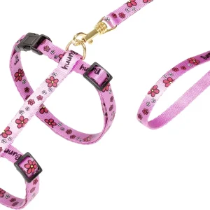 Kattentuigje met Looplijn Bloem roos