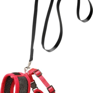 Kattentuigje met Looplijn zwart M