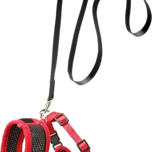 Kittentuigje met Looplijn harms zwart