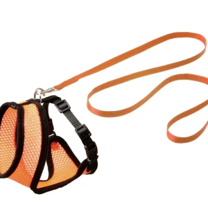 Kittentuigje met Looplijn harms oranje
