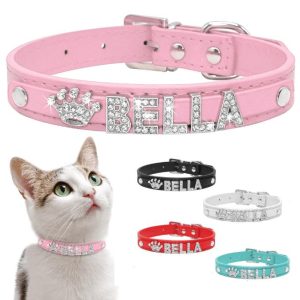 Halsband met naam voor honden en katten