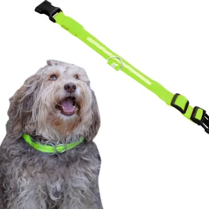 Dutchwide Lichtgevende Halsband Hond - Extra Sterk - Hondenhalsband - Klikhalsband - Verstelbaar - Reflecterend