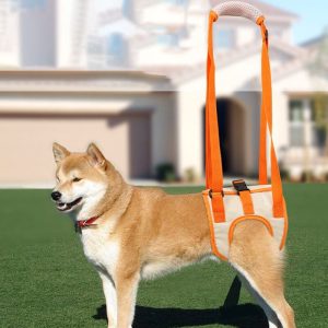 Draaghulp voor Honden – voor zwakke heupen/achterpoten