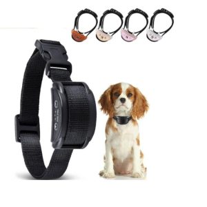 Antiblaf halsband voor hond
