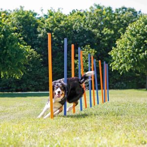 Trixie Agility Slalom, Kunststof Ø 3 × 115 Cm, 12 St., Blauw/oranje