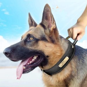 Leren Halsband voor Hond met Handvat – Met Gepersonaliseerde Tekst