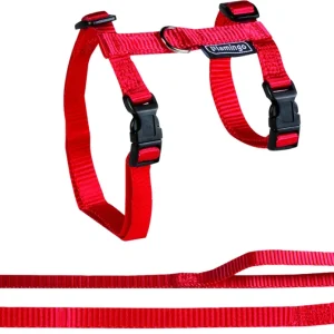 Grote kat kattentuigje met Looplijn rood