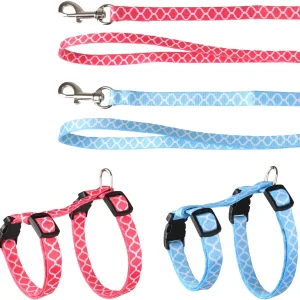 Kitten tuigje met Looplijn Amsi