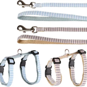 Kitten tuigje met Looplijn Serwan