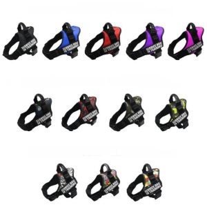 Hondenharnas met persoonlijke tekst