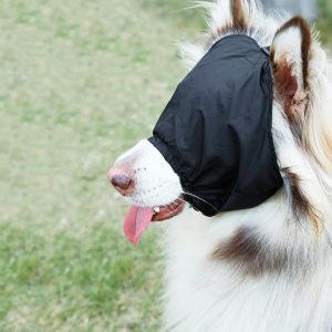 Calming Cap – Kalmerend Oogmasker voor Honden