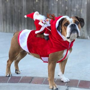Kerstkostuum voor Honden en Katten met Kerstmanpop – Santa’s Reindeer