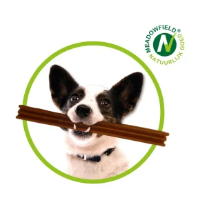 Honden Dogsmile natuurlijke hondentandenborstel - Vega - 4 stuks - 26 cm
