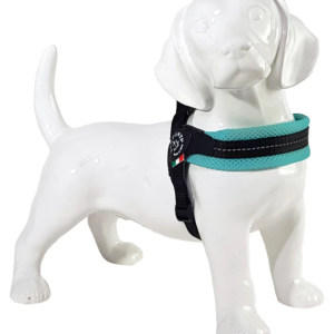 Fibbia Verstel. Mesh Refl. Pastel Groen