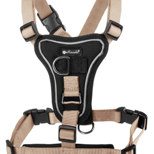 Basic Comfort Plus Harnas Xxl Champagne 35x37x3